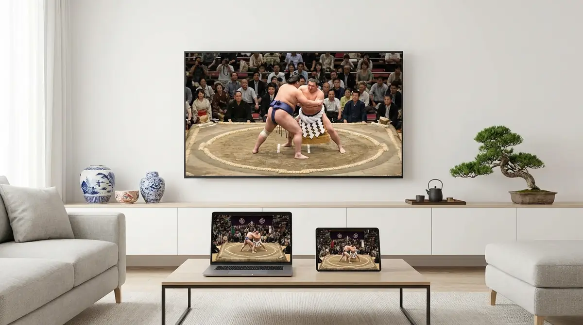 テレビ・ネットで相撲の場所を観戦する方法