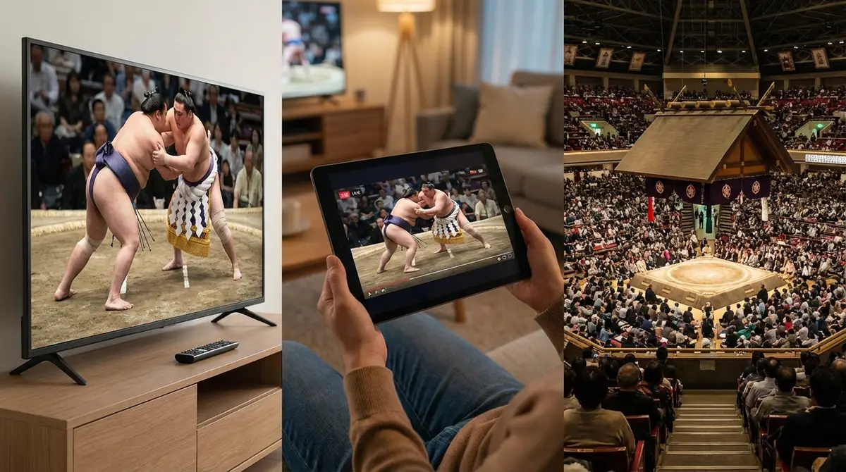 相撲の取組を見る方法3選｜テレビ・配信・現地