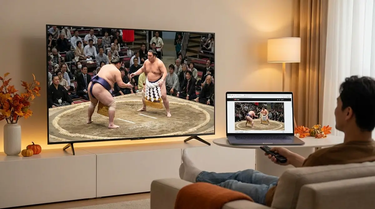 相撲11月場所をテレビ・ネット配信で観る方法