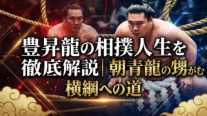 豊昇龍の相撲人生を徹底解説｜朝青龍の甥が歩む横綱への道