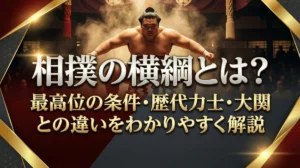 相撲の横綱とは？最高位の条件・歴代力士・大関との違いをわかりやすく解説